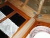 P1010007.JPG