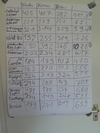 P1000044.jpg