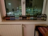 20230915_020328.jpg